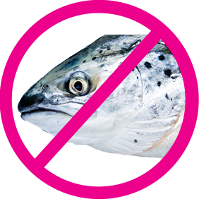 Fish Allergy
